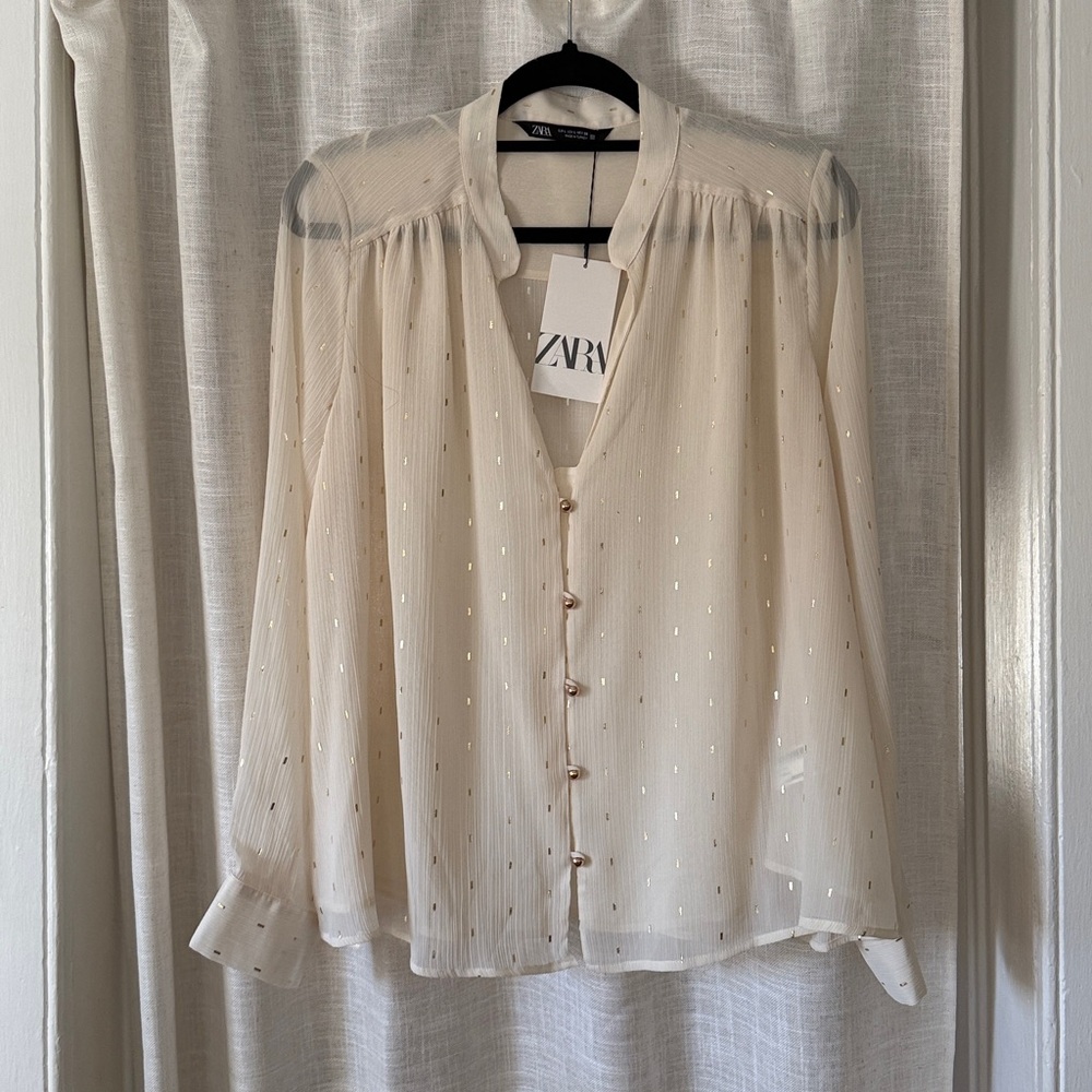 Zara Sheer Top NWT